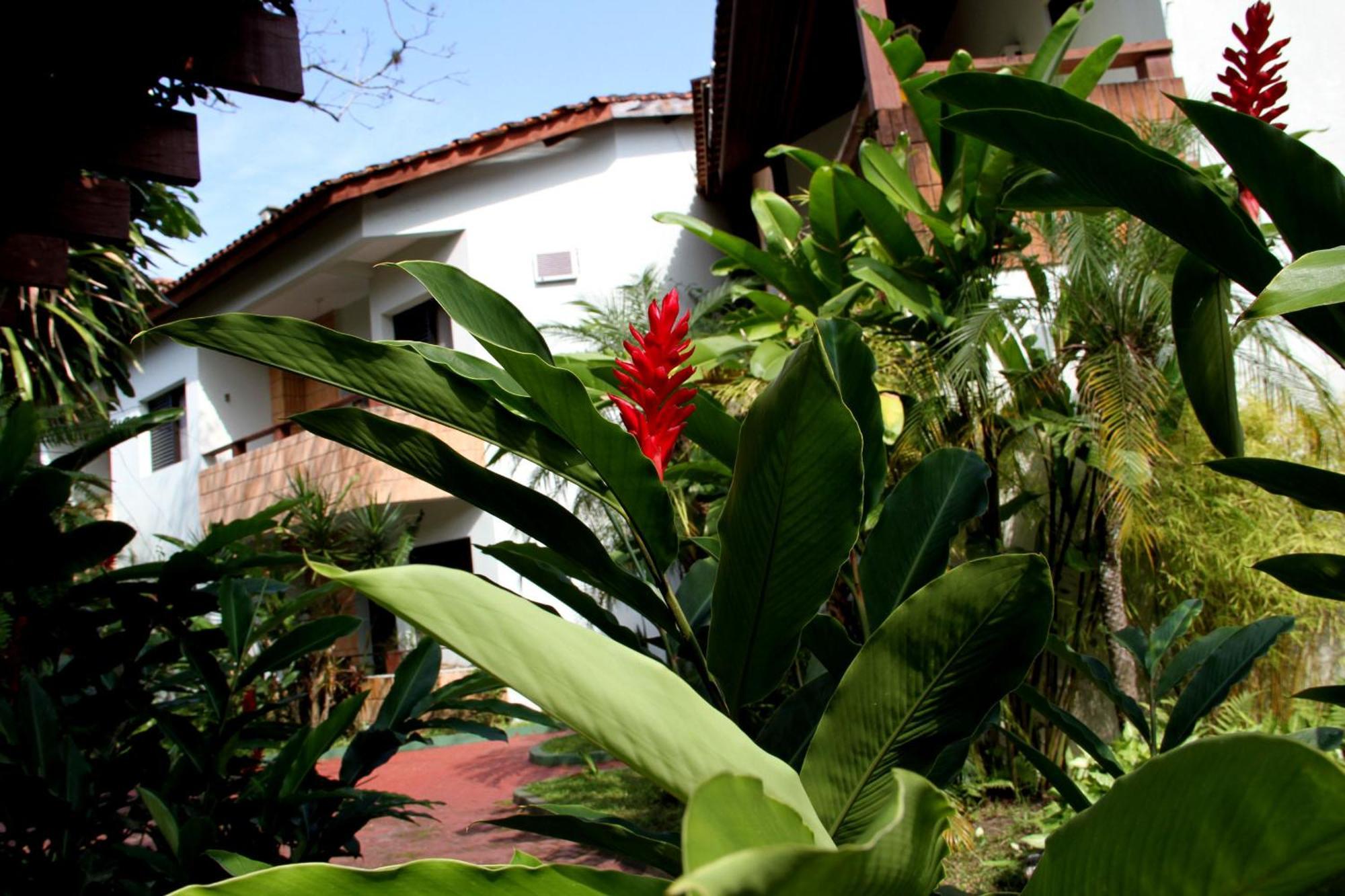 Pousada Larimor Boicucanga Bagian luar foto
