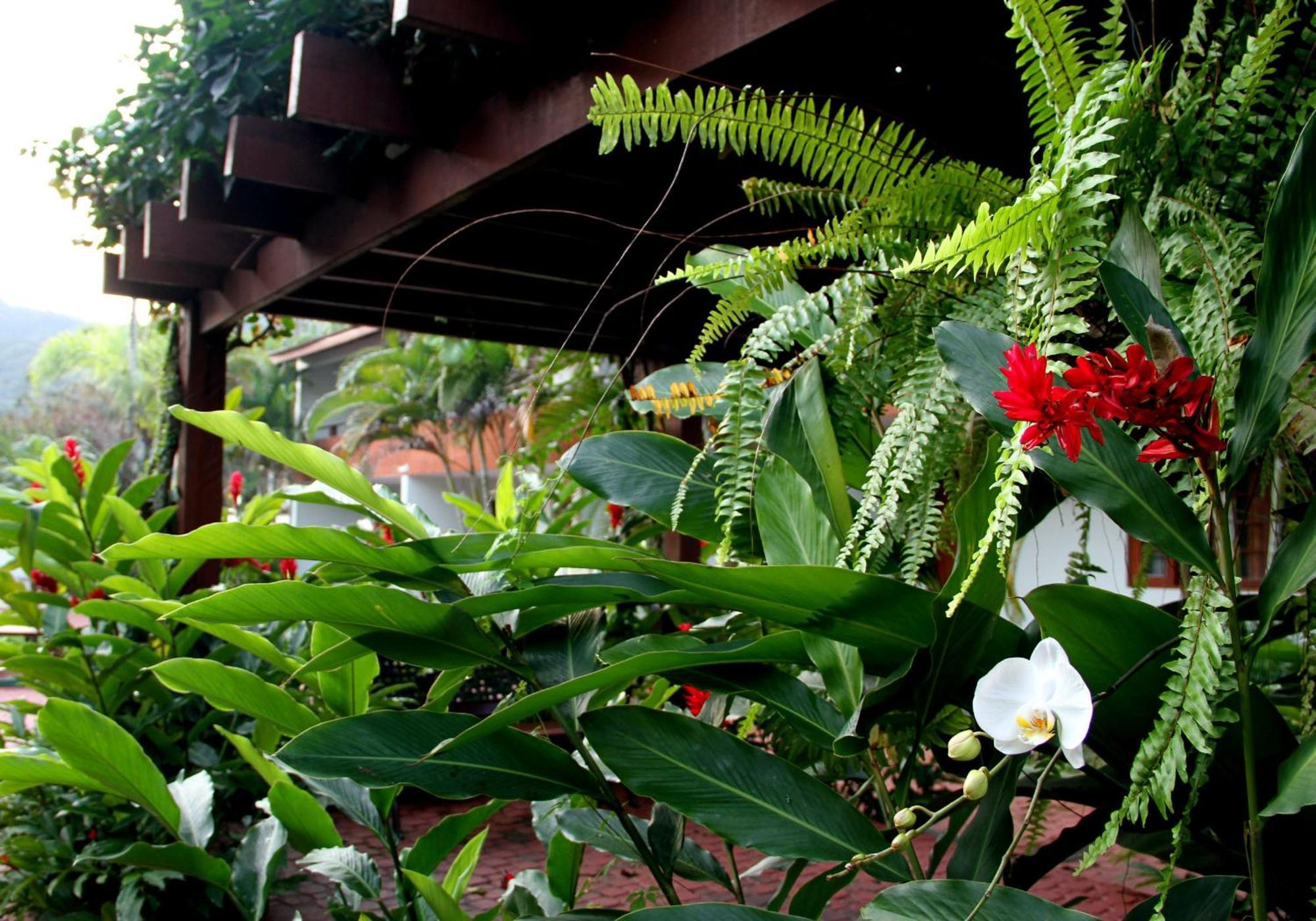 Pousada Larimor Boicucanga Bagian luar foto
